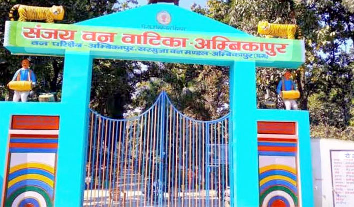 संजय पार्क में कुत्तों के हमले से 15 हिरणों की मौत, वन विभाग की लापरवाही उजागर