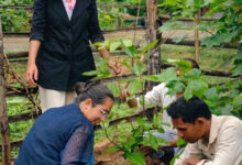 आंगनबाड़ी केंद्रों में पोषण शिक्षा को नई दिशा, स्थानीय खाद्य संसाधनों और मिलेट्स को मिलेगा बढ़ावा