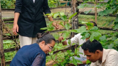 आंगनबाड़ी केंद्रों में पोषण शिक्षा को नई दिशा, स्थानीय खाद्य संसाधनों और मिलेट्स को मिलेगा बढ़ावा