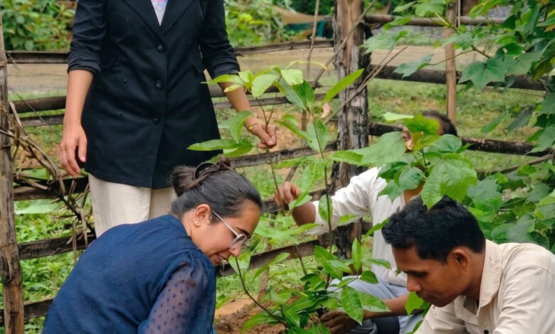 आंगनबाड़ी केंद्रों में पोषण शिक्षा को नई दिशा, स्थानीय खाद्य संसाधनों और मिलेट्स को मिलेगा बढ़ावा