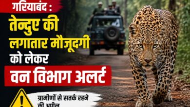 गरियाबंद : तेन्दुए की लगातार मौजूदगी को लेकर वन विभाग अलर्ट,13 गांवों में निगरानी बढ़ाई