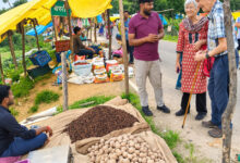 विदेशी पर्यटकों को आकर्षित कर रहा छत्तीसगढ़ का ग्रामीण पर्यटन मॉडल