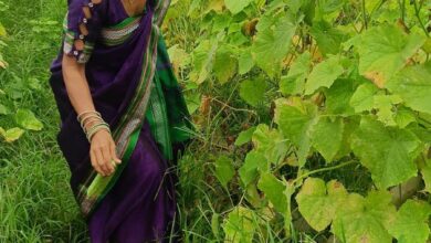 शशिरेखा सेठिया बनी लखपति दीदी बिहान योजना के संबल से बदली आत्मनिर्भरता की तस्वीर शशिरेखा सेठिया बनी लखपति दीदी बिहान योजना के संबल से बदली आत्मनिर्भरता की तस्वीर