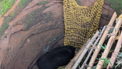 15 घंटे की मशक्कत के बाद कुएँ में गिरे भालू का सुरक्षित रेस्क्यू,वन मंत्री श्री केदार कश्यप के निर्देश पर वन विभाग की त्वरित कार्रवाई, ग्राम छिंदिया में सफल रहा रेस्क्यू अभियान