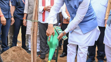रायपुर : मुख्यमंत्री श्री विष्णुदेव साय ने अपनी माँ के नाम पर लगाया पीपल का पौधा, वन महोत्सव-2026 का हुआ शुभारंभ