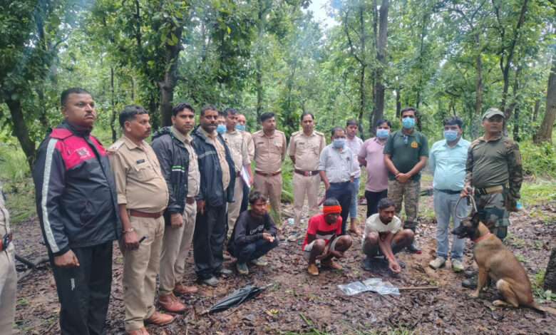 मृत भालू के नाखून काटकर ले जाने वाले दो आरोपी गिरफ्तार डॉग स्क्वॉड की मदद से हुई पतासाजी मृत भालू के नाखून काटकर ले जाने वाले दो आरोपी गिरफ्तार डॉग स्क्वॉड की मदद से हुई पतासाजी